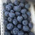 蓝枫蓝莓，大果，代收，代发。