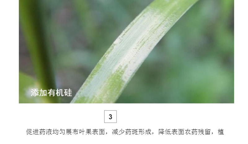 农用有机硅增效剂超强附着超强渗透量大优惠