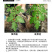 农用有机硅增效剂超强附着超强渗透量大优惠