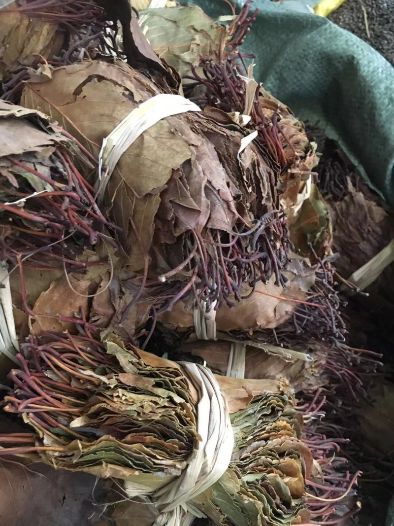山楂叶