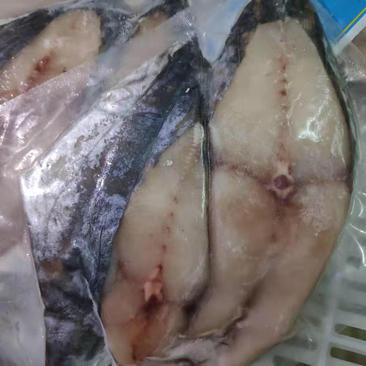 新鲜冷冻马鲛鱼马鲛鱼片超大马鲛鱼段400克一袋
