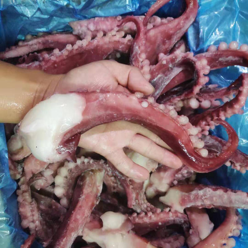 新鲜冷冻章鱼须超大章鱼爪八爪鱼角10斤一件