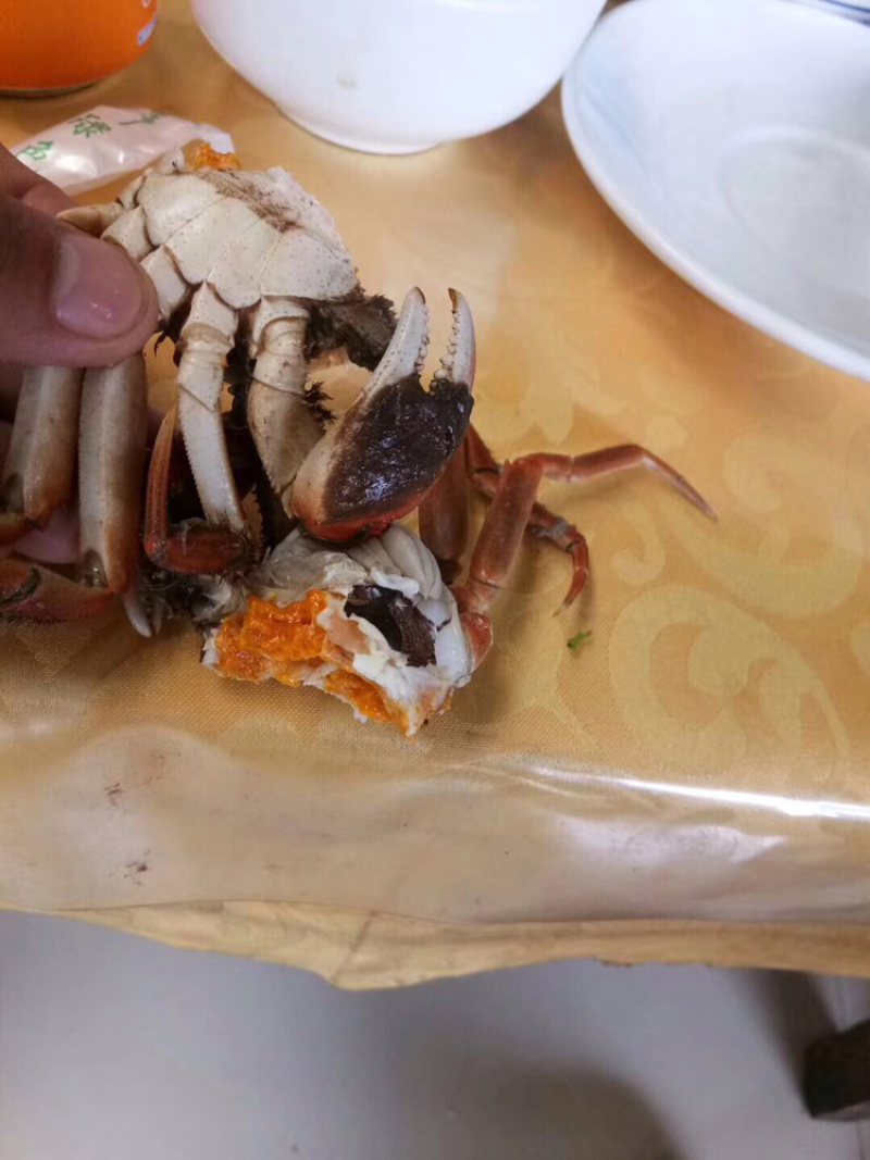 六月黄大闸蟹