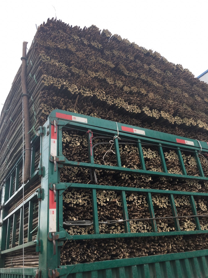 菜架竹杆金银花架条药材撑杆面向全国大量批发