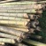 菜架竹杆金银花架条药材撑杆面向全国大量批发