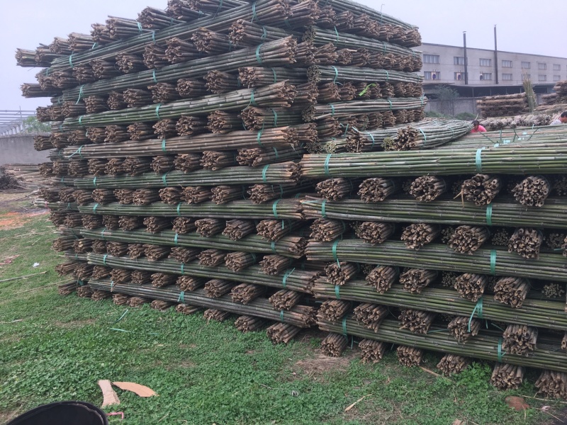菜架竹杆金银花架条药材撑杆面向全国大量批发
