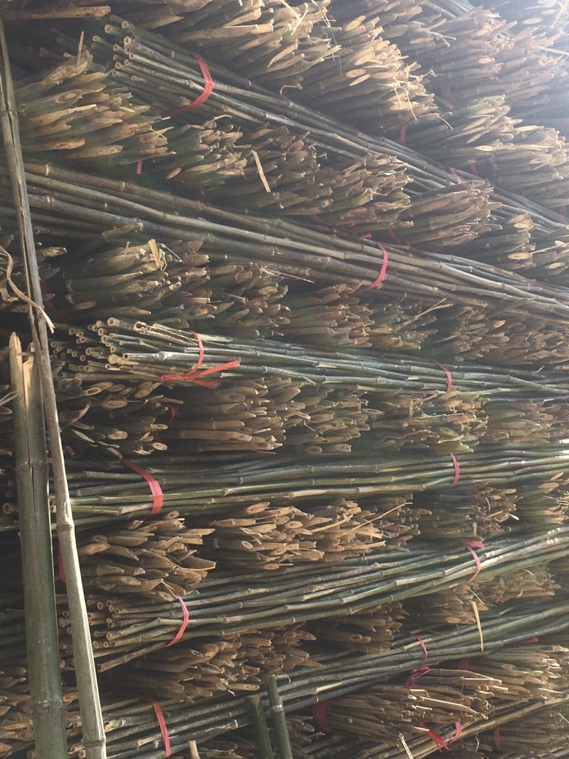 菜架竹杆金银花架条药材撑杆面向全国大量批发
