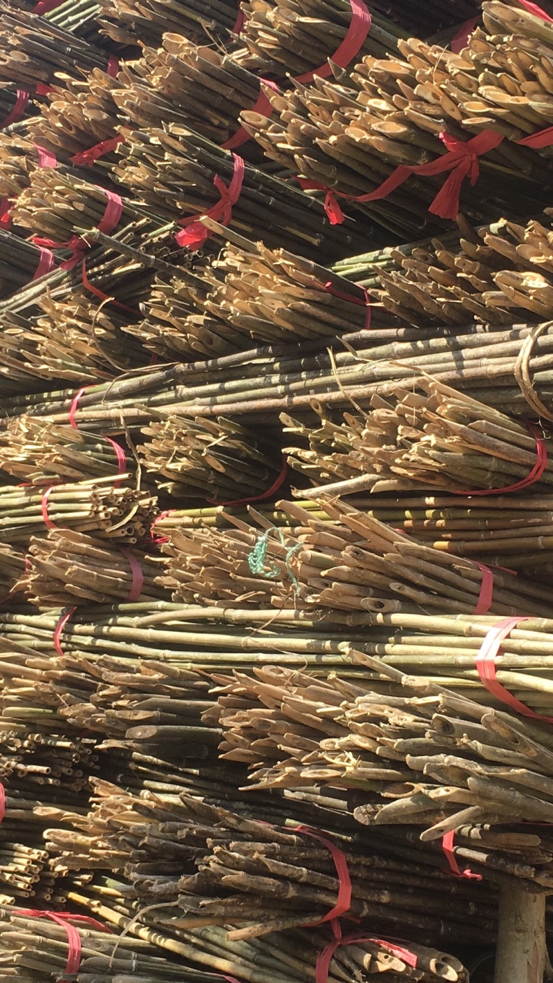 菜架竹杆金银花架条药材撑杆面向全国大量批发