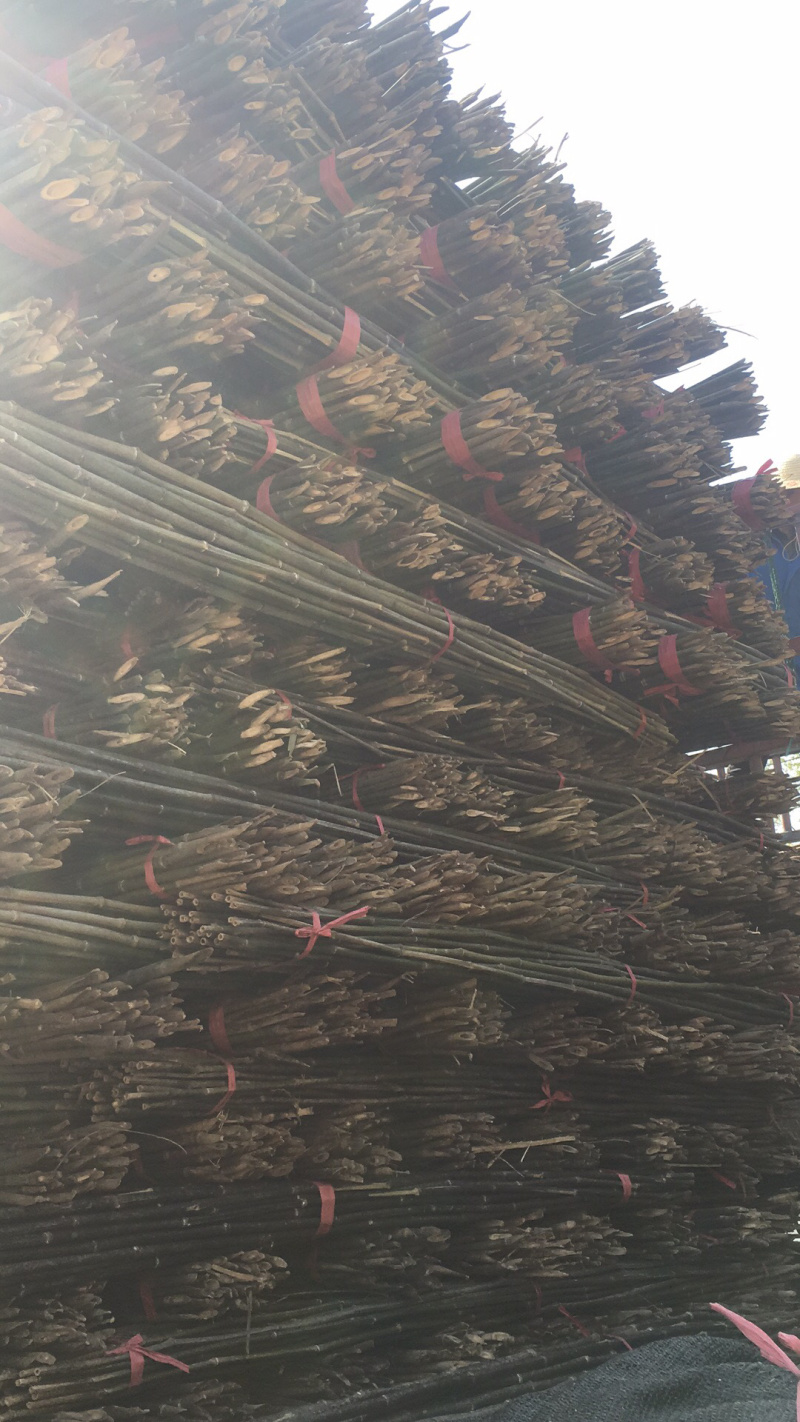 菜架竹杆金银花架条药材撑杆面向全国大量批发