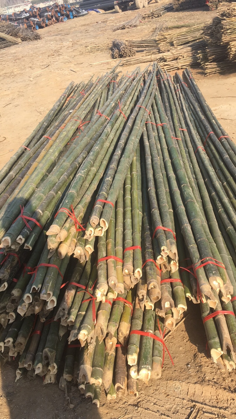 菜架竹杆金银花架条药材撑杆面向全国大量批发