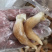 鸟贝