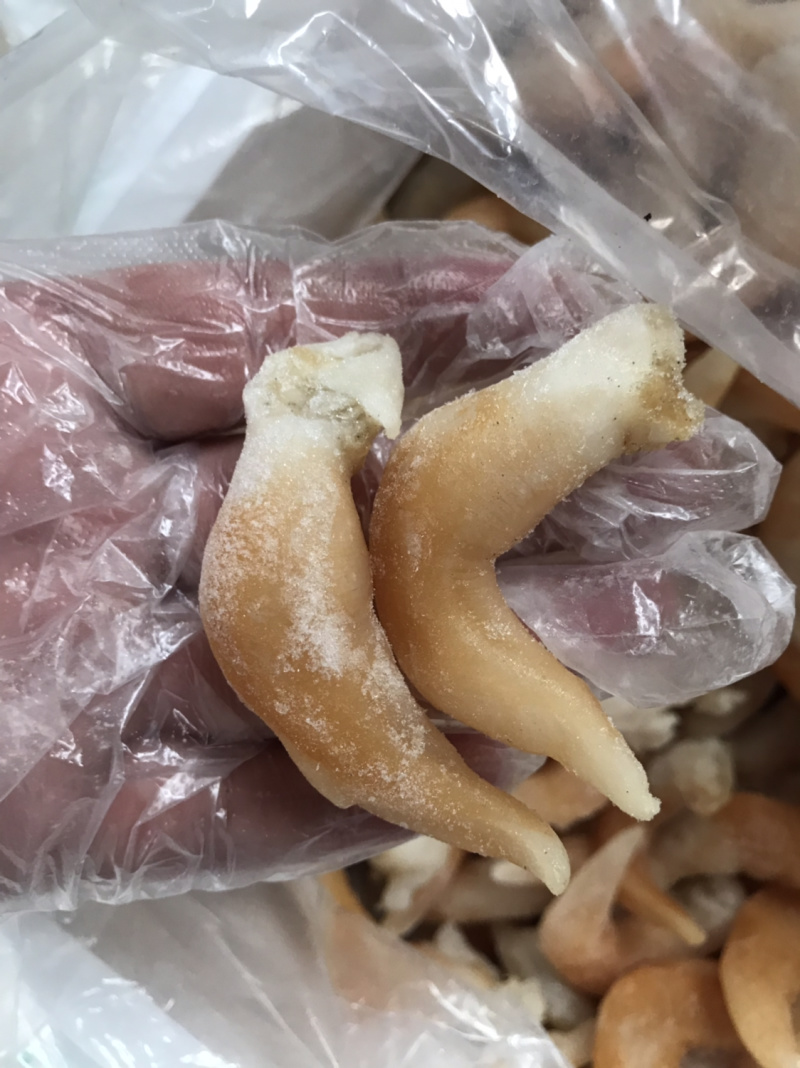 鸟贝