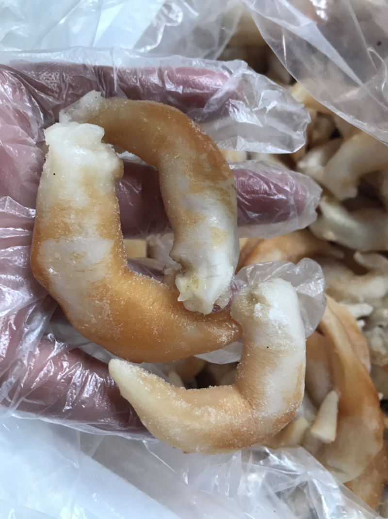 鸟贝