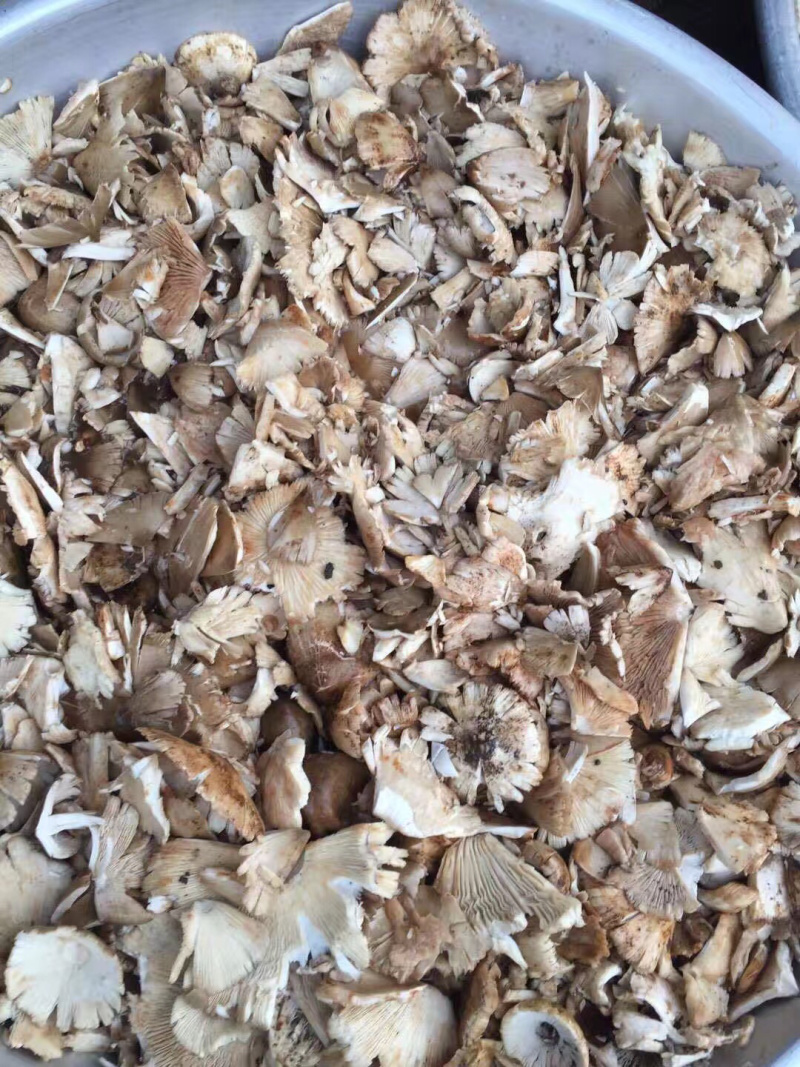 鸡枞油