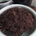 鸡枞油