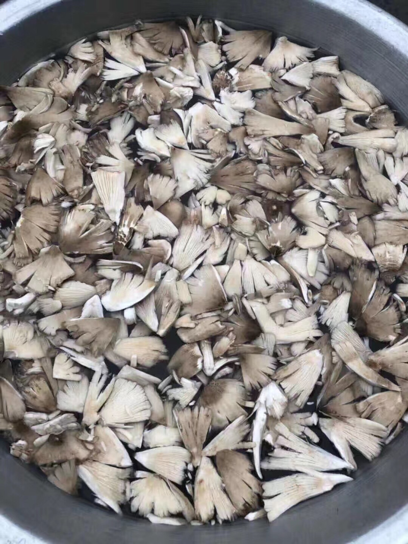 鸡枞油