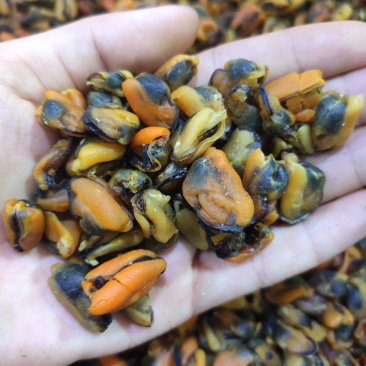 淡菜青口肉提鲜好帮手