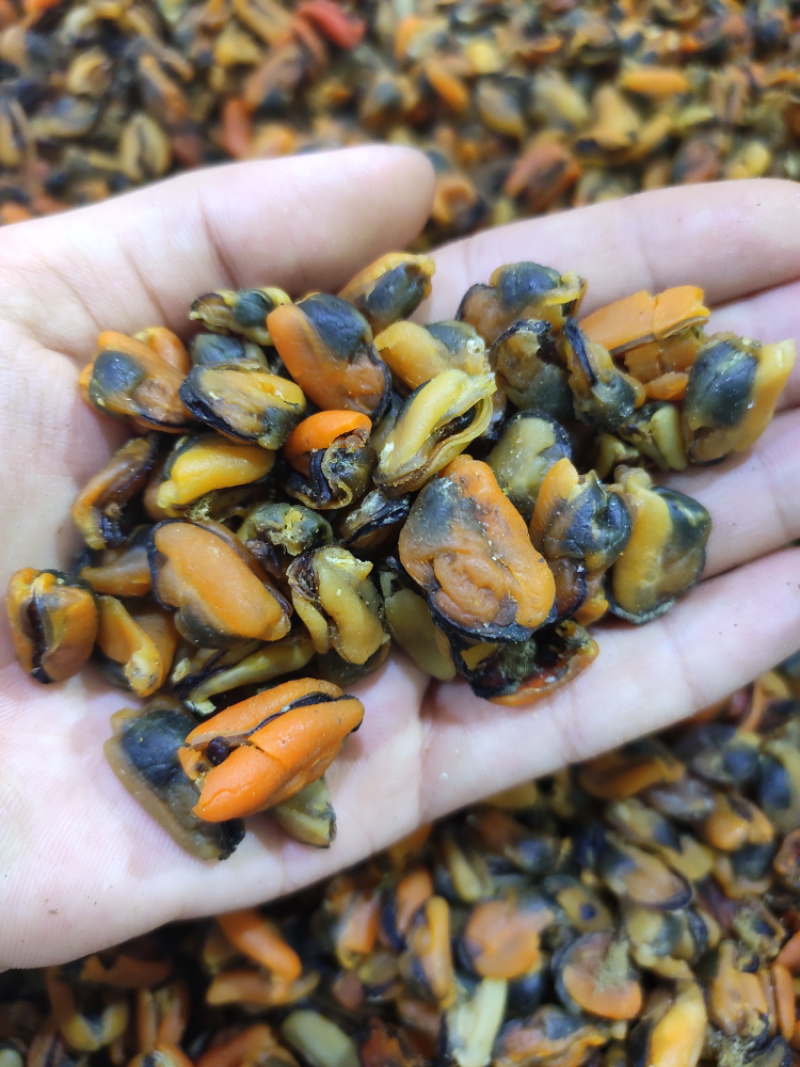 淡菜青口肉提鲜好帮手