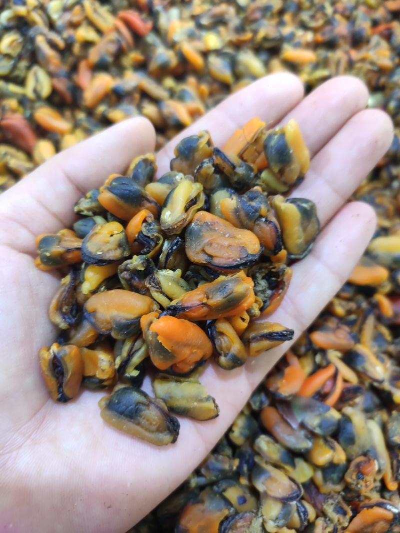 淡菜青口肉提鲜好帮手