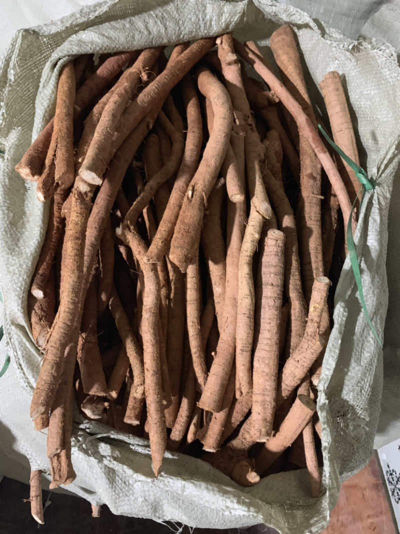 大量新鲜牛大力根长期供应，精选靓规格产地直销