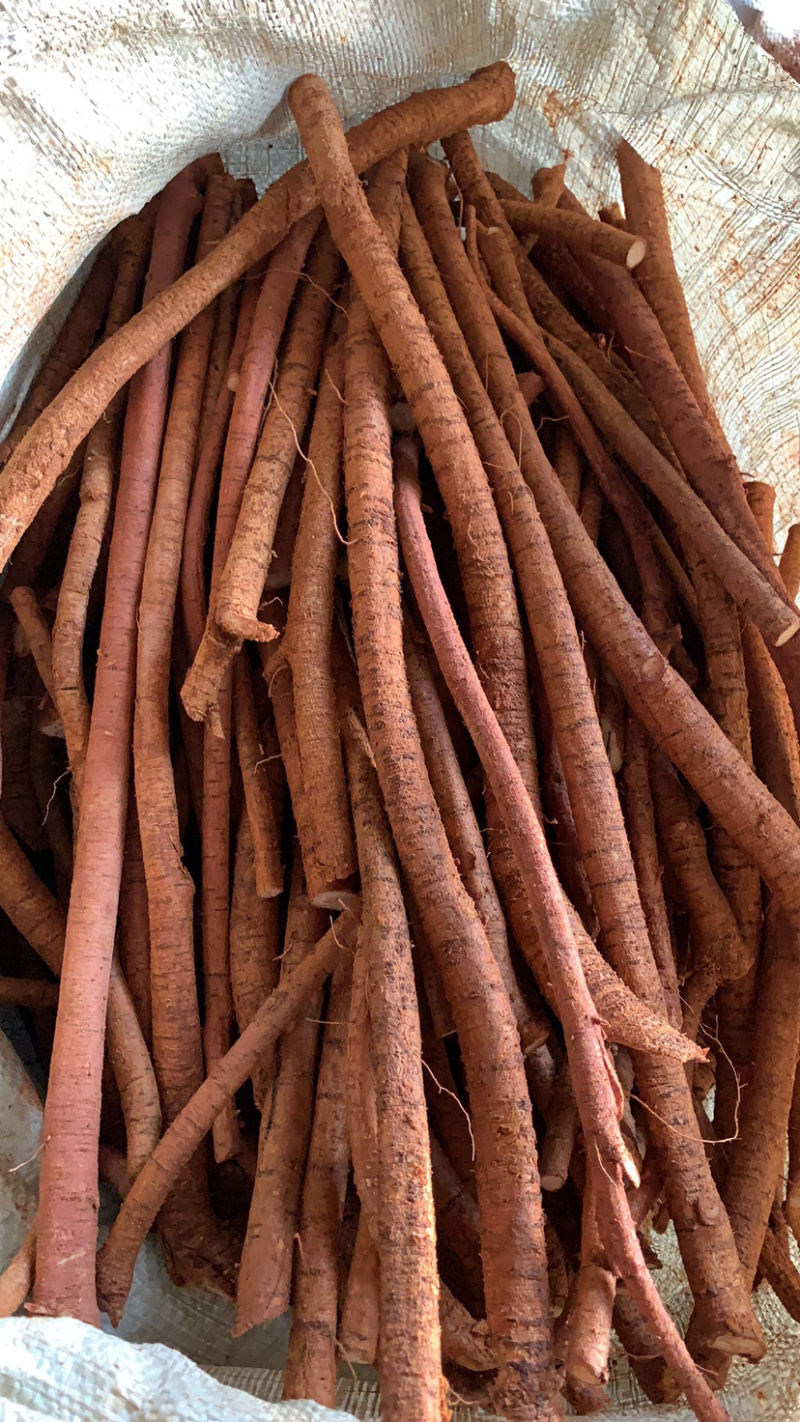 大量新鲜牛大力根长期供应，精选靓规格产地直销