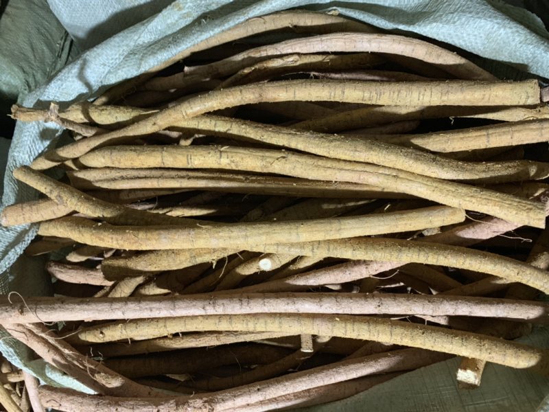大量新鲜牛大力根长期供应，精选靓规格产地直销