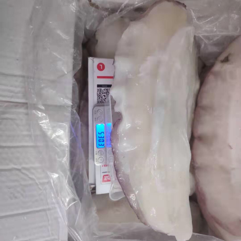 新鲜冷冻墨鱼边超大墨鱼肉墨鱼刺身一件20斤