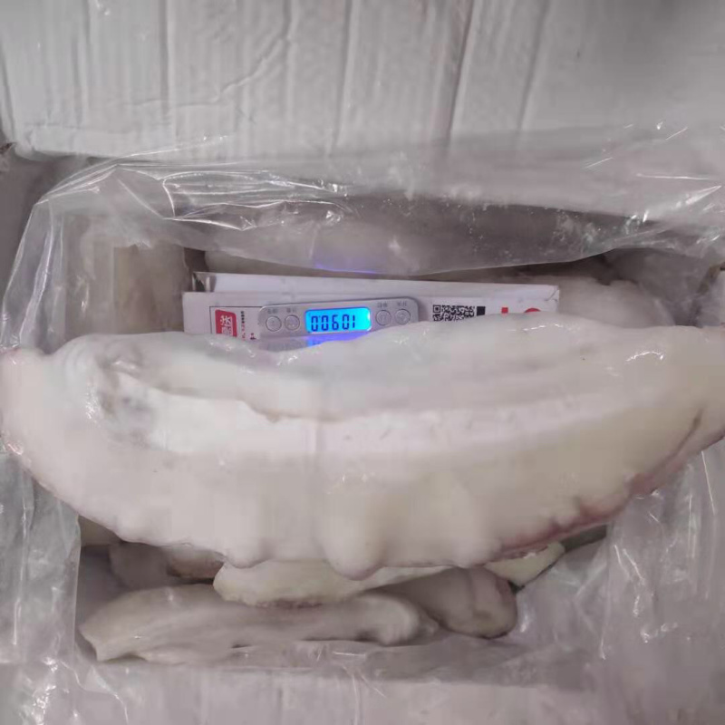 新鲜冷冻墨鱼边超大墨鱼肉墨鱼刺身一件20斤
