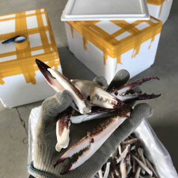 梭子蟹蟹脚，精品酒店专用货，大号蟹脚，中号蟹脚