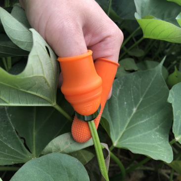 多功能拇指刀采摘器可采摘花椒蔬菜豆角辣椒