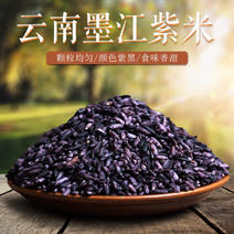 云南墨江紫米墨江紫米新紫色米农家自产自种紫米面包原料