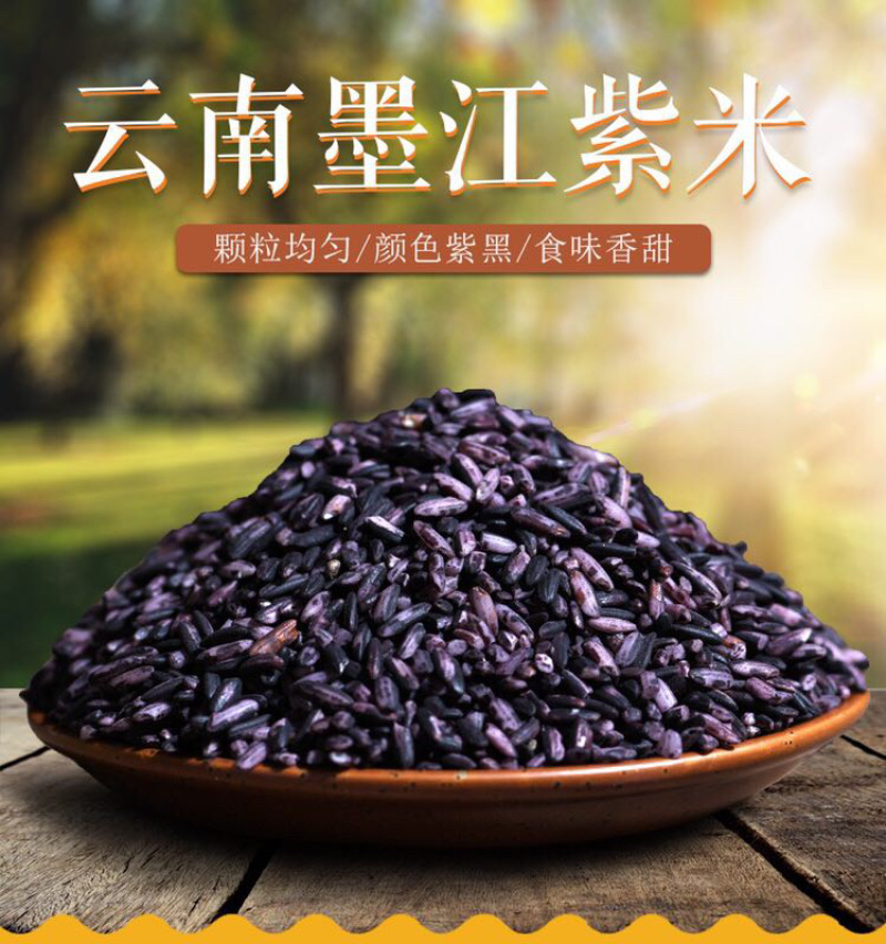 云南墨江紫米墨江紫米新紫色米农家自产自种紫米面包原料