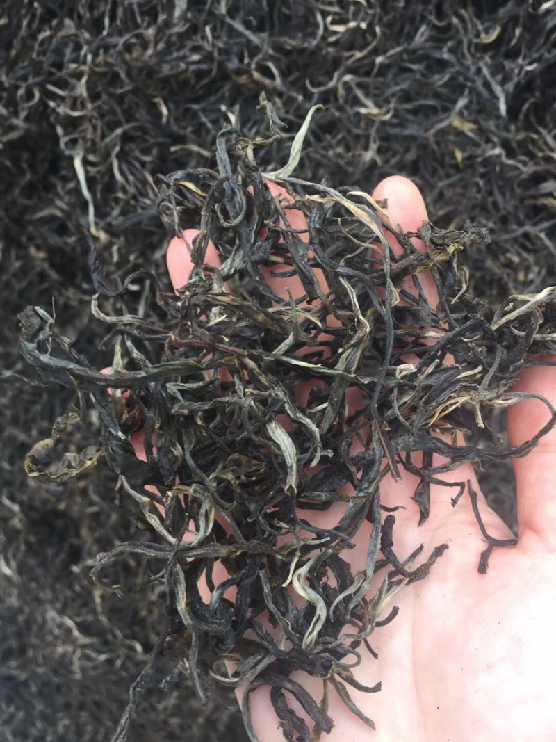 普洱茶大树茶古树茶老挝古树茶