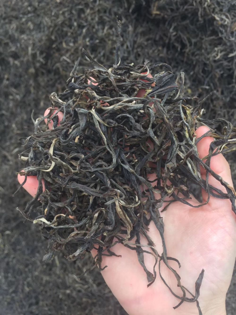 普洱茶大树茶古树茶老挝古树茶