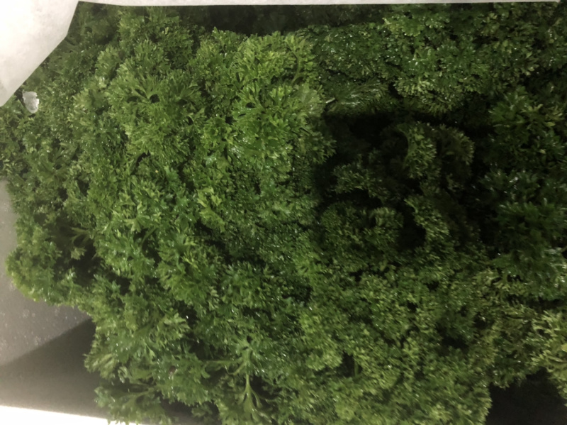 法香番西方西荷兰芹洋芫荽