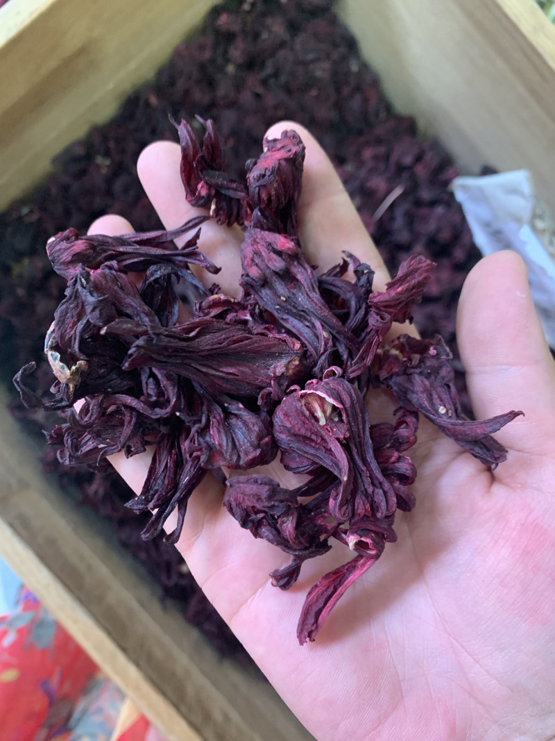 进口玫瑰茄，洛神花非洲直供，量大从优，一手货