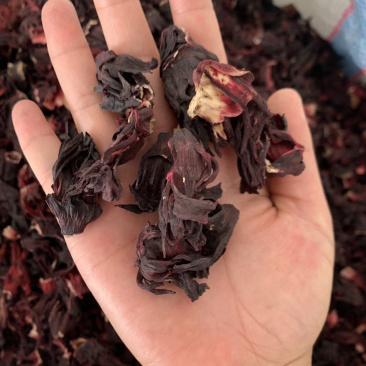 进口玫瑰茄，洛神花非洲直供，量大从优，一手货