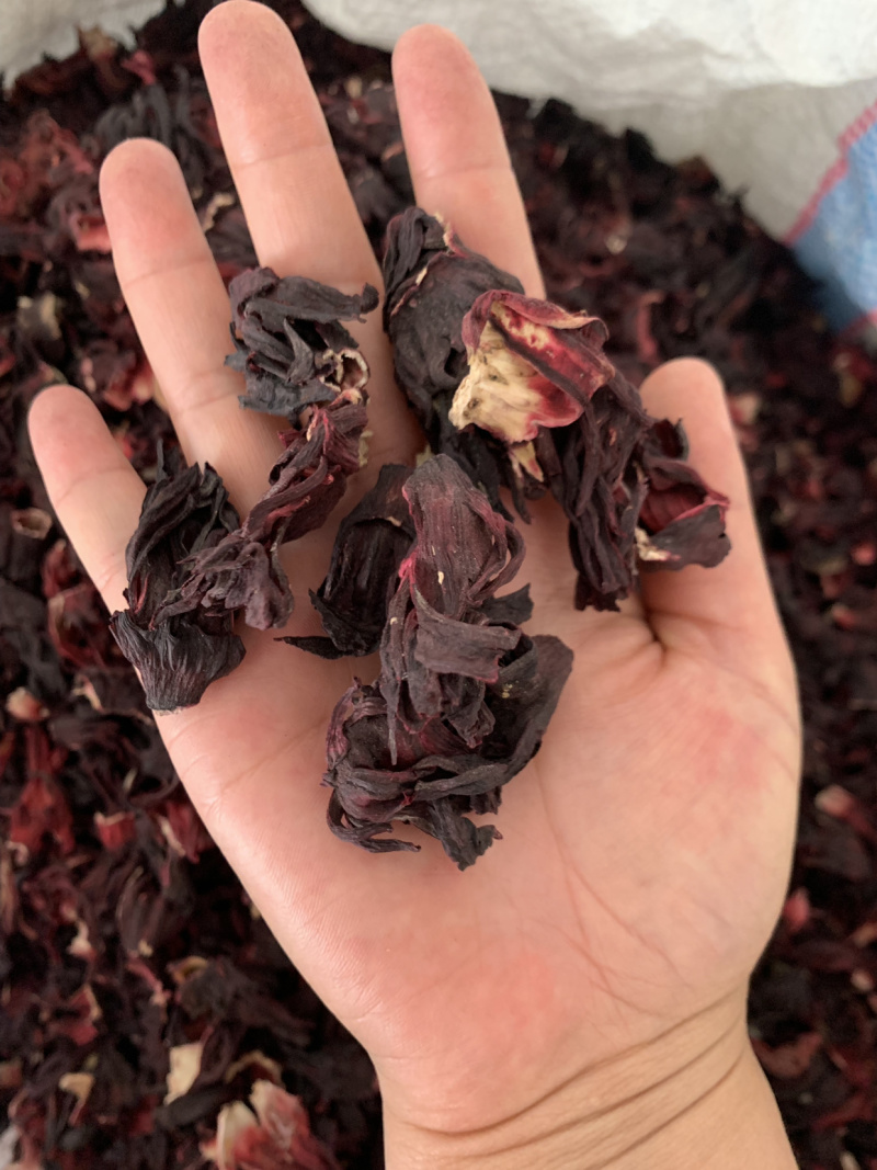 进口玫瑰茄，洛神花非洲直供，量大从优，一手货