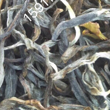 普洱茶