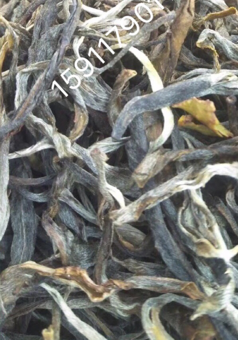普洱茶