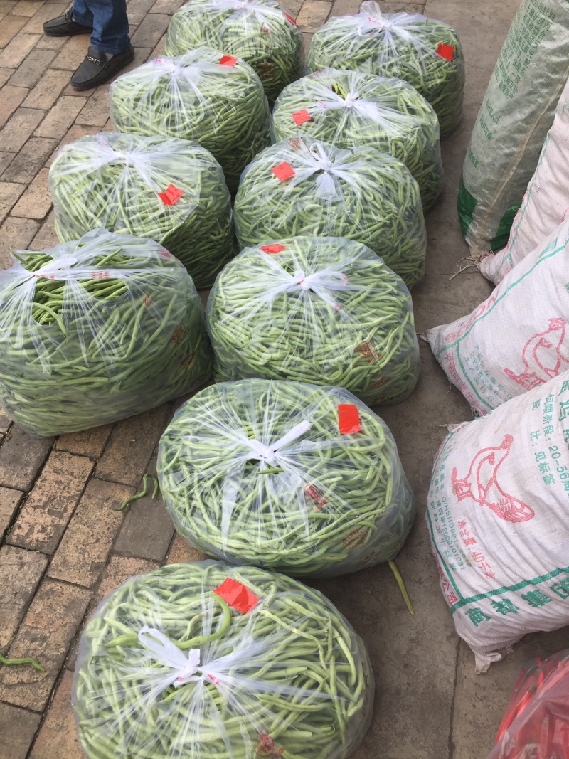 架豆王，好货不便宜，便宜没好货