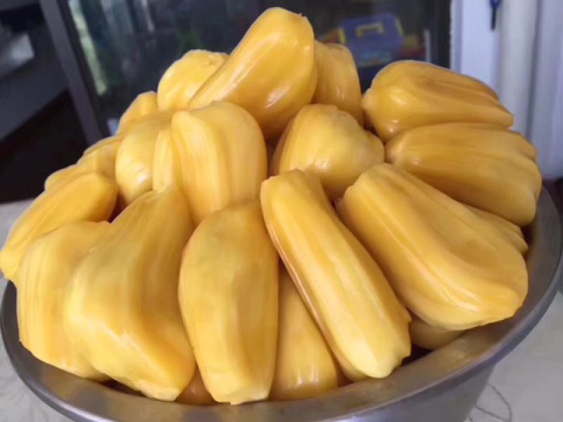 海南菠萝蜜新鲜包邮现摘现发代办代发海南黄肉菠萝蜜活动2