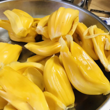 海南菠萝蜜新鲜包邮现摘现发代办代发海南黄肉菠萝蜜活动2
