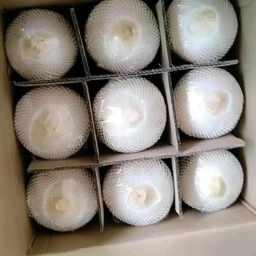 箱装椰青和菠萝蜜