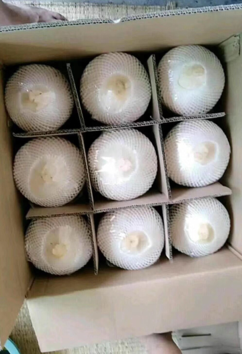 箱装椰青和菠萝蜜