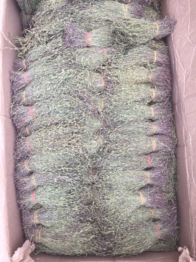 独脚金15公分左右青绿A货