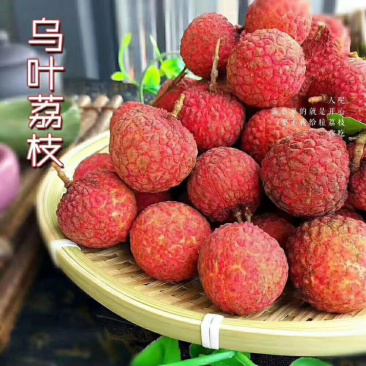 福建乌叶荔枝当天采摘5斤黑叶荔枝一件代发