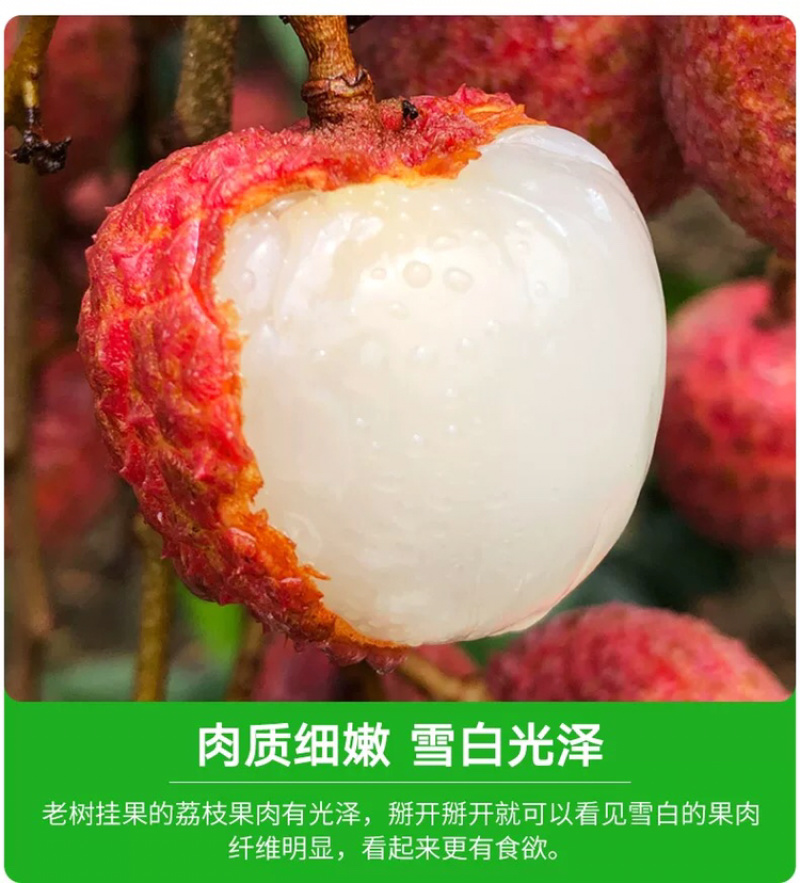 福建乌叶荔枝当天采摘5斤黑叶荔枝一件代发