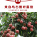 福建乌叶荔枝当天采摘5斤黑叶荔枝一件代发