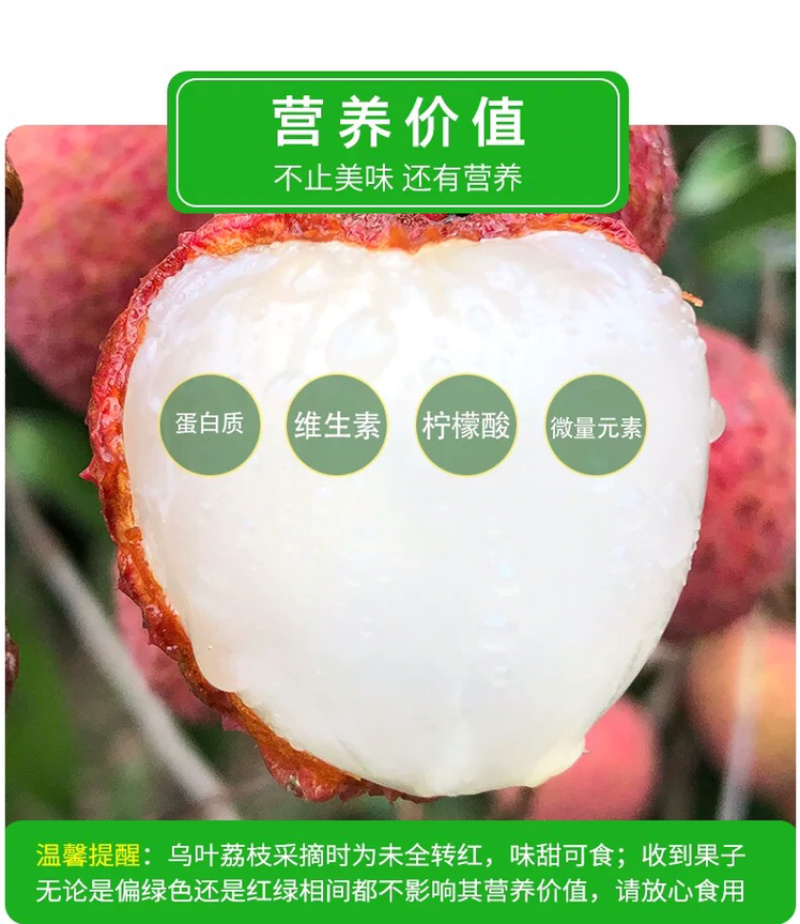 福建乌叶荔枝当天采摘5斤黑叶荔枝一件代发